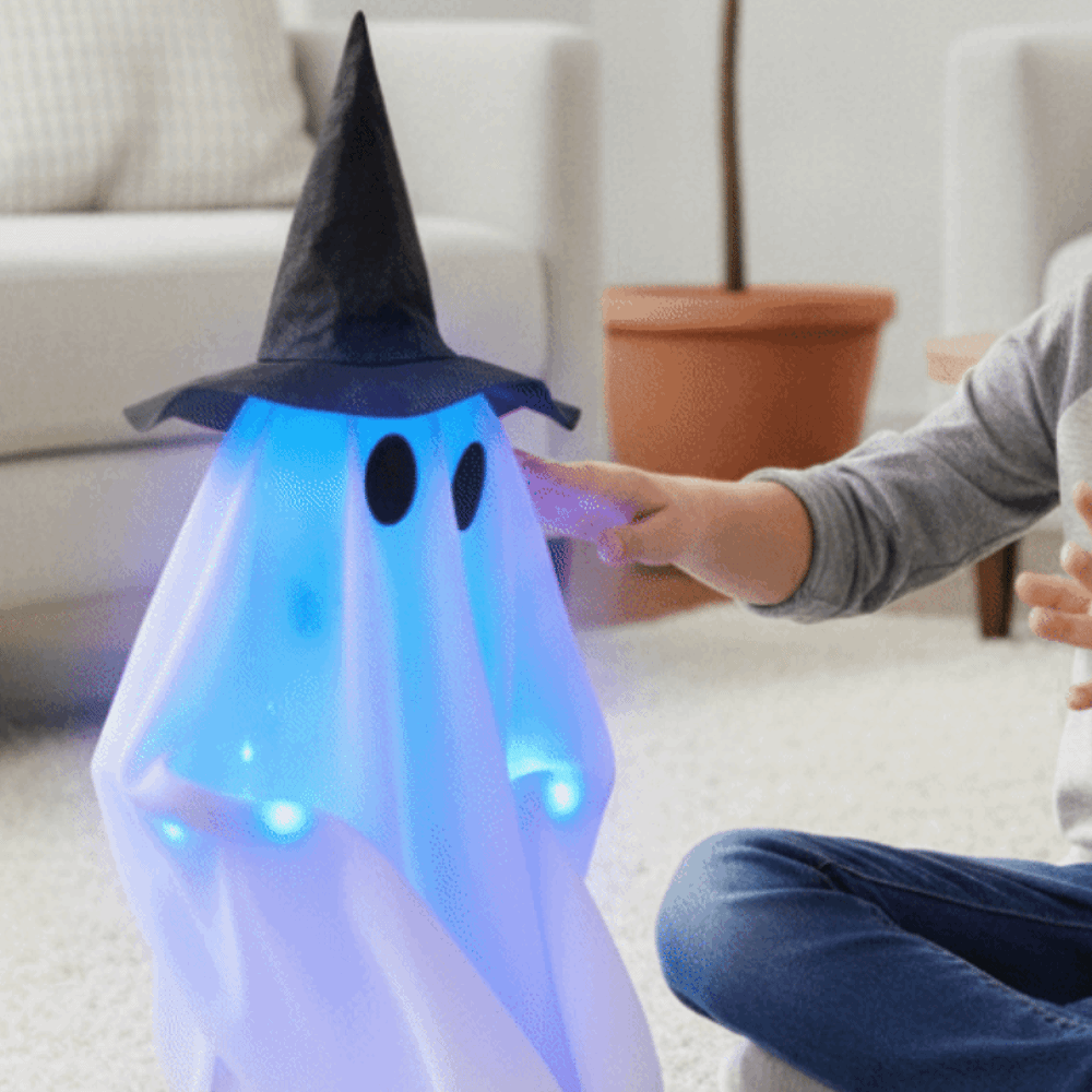 Boo-the talking, walking ghost